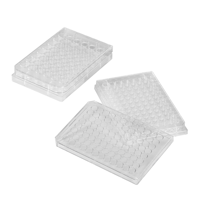 Testing plate 6 well PS